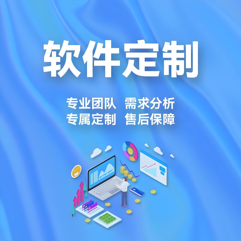 软件定制趋势引领企业精准制胜